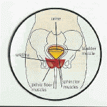 urinary_tract_infection
